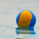 Ceglédi Vasutas Sport Egyesület - PVSK PSN (Pécs) 13:10