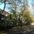 Halló Cegléd - Rákóczi út