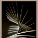 MAFOSZ kiállítás képei