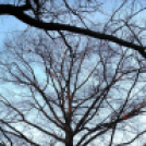 BAÁN KATALIN fotókiállítása(telefonos fotóriport)