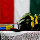 Zsengellér Gyula újratemetése