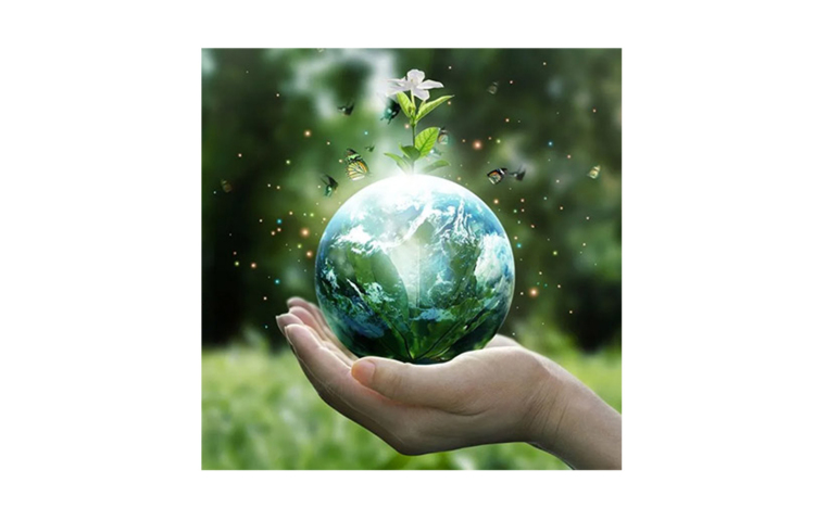 Pest Vármegye Környezetvédelméért Díj 2023. - Pályázati felhívás