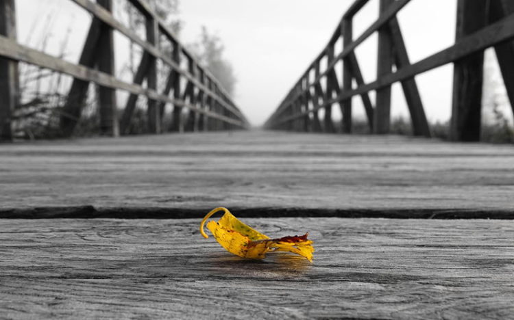 Felújítás miatt lezárnak egy hidat