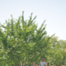 Nyitott Pince Napok - Kökény és Fia Családi Borászat