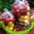 Telefonfotók - Ceglédi hangulatok