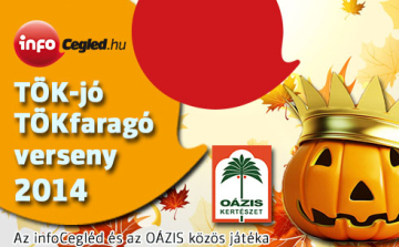 Íme, a legtökösebbek!