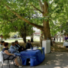 Semmelweis nap Cegléden - idén hárman kaptak Cegléd Város Egészségügyért elismerést