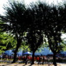 Megyei futó- és gyalogló nap