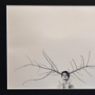 Megnyílt a Ceglédi Fotóklub kiállítása