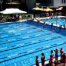 Városi úszóverseny