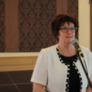 Város Bora választás 2015