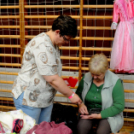 XIII. Ceglédi Bababörze