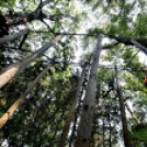 Református nevelőszülők találkoztak Cegléden