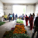 Szebb, virágosabb Ceglédért