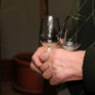 Vadászok bora választás 2013