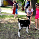 Szent István ünnepe a Gubody kertben