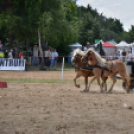 Ahol még a lovak is asztalhoz ülnek...