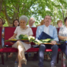 Semmelweis napi elismerések