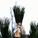 Karácsonyfa díszítő verseny