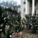 Karácsonyfa díszítő verseny