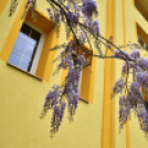 Ökoiskolai találkozó