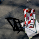 Cegléd első festett QR-kódja