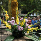 XIX. Kossuth Toborzó - péntek