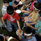 Csibenap a Várkonyiban