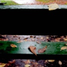 Ősz a Gubody parkban