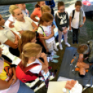 Több száz résztvevő a Városi Sportnapon