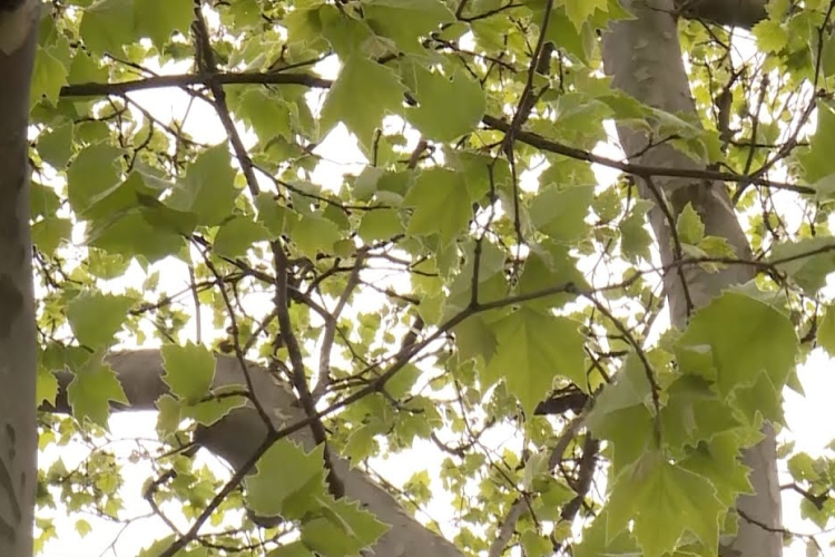 Lakossági tájékoztatás