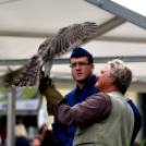 Ünnepeltek a vadászok