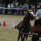 Laska fesztivál - szombat délelőtt