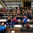 Ceglédi Kék Cápák - Szigetszentmiklós NKSE 31 - 26