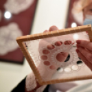 A höveji csipkevarrás élő hagyománya