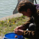 Éhmann Ferenc Emlék Kupa