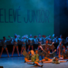 Tánc világnapja Cegléden