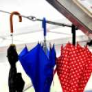 Ceglédi Fúvós Zenekar és Hagyományőrzők 