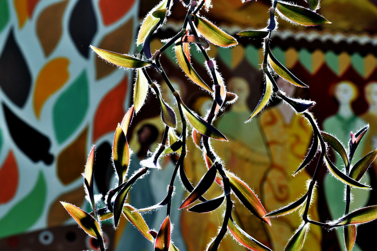 Holokauszt emléknap