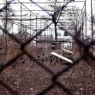 Vadak karácsonya Nyársapáton