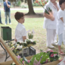 Semmelweis nap Cegléden