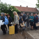 Szebb, virágosabb Ceglédért