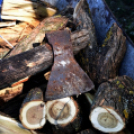 Virágvásár és főzőfesztivál Csemőben