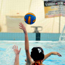 Ceglèdi Vasutas Sport Egyesület - Győri Vízisport Egyesület  15 - 9