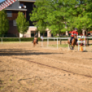 III. Ceglédi Vágta