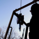 A város karácsonyfája