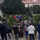 Karácsonyfa díszítő verseny