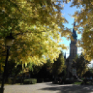 Halló Cegléd! - telefonfotók