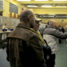 Galambkiállítás Cegléden