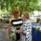 Semmelweis nap Cegléden - idén hárman kaptak Cegléd Város Egészségügyért elismerést